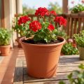 Potte “Irys” plast terracotta Ø19cm H16cm 1 stk | Floristik24.dk