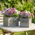 Plantekasse træskuffe vasket grå 15×15cm/12×12cm sæt med 2 stk. | Floristik24.dk