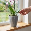 Orkidépotte skinnende Ø12,5cm grå 1 stk | Floristik24.dk