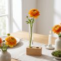 Reagensglas 200 mm × 22 mm | Floristik24.dk