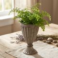 Dekorativ trofæ plante i antik look gråbrun Ø13cm H19cm | Floristik24.dk