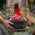 Oasis Sort Biolit Planteskål Blomsterskål Sort Ø26cm | Floristik24.dk