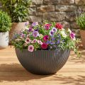 Plantepotte skål plast antracit Ø40cm H18,5cm | Floristik24.dk