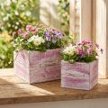 Planteskuffe med håndtag pink hvidt træ 12/15cm sæt med 2 stk | Floristik24.dk