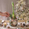 Dekorativ glasvase lanterne glas klar Ø18cm H20cm | Floristik24.dk