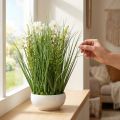 Dekorativt græs med Cosmea blomster i en skål H45cm | Floristik24.dk