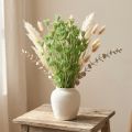 Tørrede blomster sort spidskommen grøn nigella 50cm 100g | Floristik24.dk