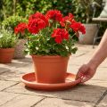 Coaster “Linda” Ø37cm terracotta | Floristik24.dk