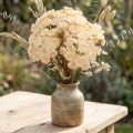 Kunstig røllikecreme Achillea kunstige blomster 30 cm 6 stk | Floristik24.dk