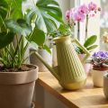 Indendørs vandkande, olivengrøn, retrostil, 24,5 cm, 1,8 l, designervandkande, plastik, plantevanding | Floristik24.dk