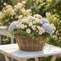 Krukkekurv, shabby chic, naturhvid, H14cm Ø30cm med håndtag, vintage indretning | Floristik24.dk