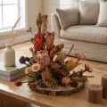 Tørrede eksotiske protea-kogler Bellgum 24-48 cm 580 g - Kunstig blomsterdekoration Sydafrika | Floristik24.dk