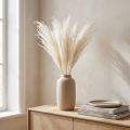 Tørrede blomster, sølvgræs. Elegant naturlig dekoration til hjem og kontor. 70 cm, 10 stk. | Floristik24.dk