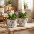 Dekorativ potte hvide birkepotte Ø18cm H15cm 2stk | Floristik24.dk