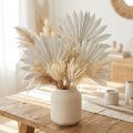 Palmspear Sun mini hvidkalket 50 stk | Floristik24.dk