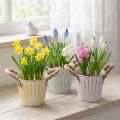 Plantespand, metalpotte med håndtag, dekorativ plantekasse, pink/grøn/gul, shabby chic, Ø12 cm, H10 cm, sæt med 3 | Floristik24.dk