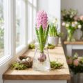 Glasvase hyacintvase dekorativ vase gennemsigtig Ø7cm H13cm | Floristik24.dk