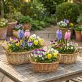 Plantekurv vævet kurv oval pil 42/34/28 cm sæt af 3 | Floristik24.dk
