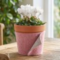Filtbånd, pottebånd tofarvet gammelrosa/grå 15cm 5m | Floristik24.dk