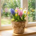 Rund plantekasse, naturlig dekoration, bark, birkepotte, Ø12 cm H10 cm, 5 stk. | Floristik24.dk
