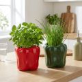 Paprika keramisk plantekasse