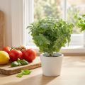 Mint kunstgrøn 25cm 12 stk | Floristik24.dk