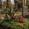 Dekorativ mostørret skovmosgrøn naturdekoration 300g | Floristik24.dk