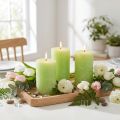 Lys limegrøn​​​​​​ensfarvet 60mm x 80mm 4 stk. | Floristik24.dk