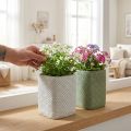 Plantekasse keramik hvidgrøn reliefnet 12x12cm H17,5cm 2stk. | Floristik24.dk