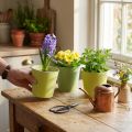 Papir cachepot, plantekasse, potte til plantning blå/grøn Ø13cm H12,5cm 4stk. | Floristik24.dk