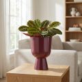 Urtepotte, kopformet, moderne stil, dekorativ til ethvert hjem og kontor, 23 cm | Floristik24.dk