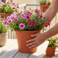 Potte “Irys” plast terracotta Ø29cm H24cm 1 stk | Floristik24.dk