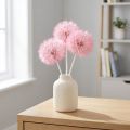 Tørrede blomster kæmpe mælkebøtte dekoration elegant boligtilbehør 12 cm 4 stk | Floristik24.dk
