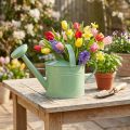 Dekorativ metalvandkande, mintfarvet, til planter og dekoration, forår/sommer, H26 cm, 5 l | Floristik24.dk