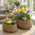 Plantekurv med håndtag kurv blomsterkurv L23/35cm sæt med 2 stk | Floristik24.dk