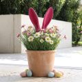 Bunny dekorative ører pink til påske flocked pind H56cm | Floristik24.dk