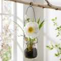 Valmue i et glas til at hænge hvid H22cm | Floristik24.dk
