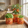 Tomatplantepottesæt, keramiske dekorative blomsterpotter til køkken og retroindretning, 14 cm, sæt med 3 | Floristik24.dk