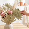 Palmespyd Sol mini natur 50 stk | Floristik24.dk