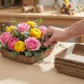 Oasis Biolit Basic Blomsterskum 13x13x2cm 12-delt sæt Blomsterdekoration DIY | Floristik24.dk
