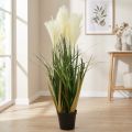 Rørgræs i potte Kunstig potteplante Creme, Grøn 79cm | Floristik24.dk