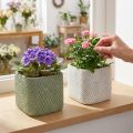 Plantekasse keramik hvidgrøn reliefnet 12,5x12,5cm H9cm 2stk | Floristik24.dk