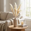 Dekorativ pampas græscreme tørt græs bleget 95cm 3 stk | Floristik24.dk