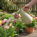 9L vandkande i olivengrøn med aftagelig roset, praktisk til have- og blomsterpleje, robust, 42 cm | Floristik24.dk