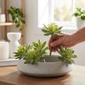 Kunstige Sukkulenter Kunstige Planter Grøn Ø10cm 4 stk | Floristik24.dk