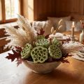 Lotus kolbe mix grøn vasket Ø6cm - 10cm 50 stk | Floristik24.dk