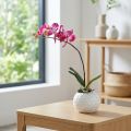 Kunstige orkideer i potte Phalaenopsis kunstige blomster orkideer pink 34cm | Floristik24.dk