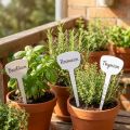 Plantetiket 10cm 100stk | Floristik24.dk