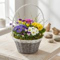 Pilekurv med hank, grå og hvid, Ø29 cm, gave, blomsterdekoration | Floristik24.dk