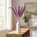 Tørrede rævehaleblomster, farvede, til moderne boligindretning, 100 cm, 5 stk. | Floristik24.dk